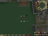 RuneLite_2025-07-06_23-25-27