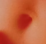 sex