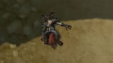 Roadkill