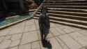 2025-07-06 02-34-16 3_thumb.jpg