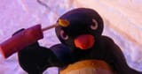 pingu bomb