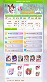 MIRACLE RUN
