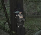 194cb678ccb45-screenshotUrl