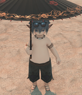 ffxiv_dx11_wV3IP79G3F