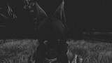 0000-00-00_00-00-00-000_UNKNOWN
