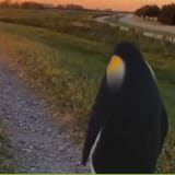 0455154075226792818405783