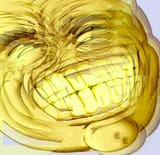 1724144115216115