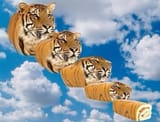 GrQYd3jXgAEep_U