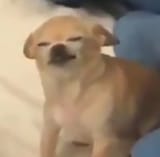 1640311260251
