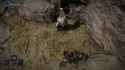 hors dropped 2025-07-06 18-03_thumb.jpg