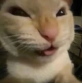 deh