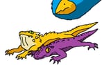 Literal Lizards hanging out