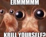1734380530646664