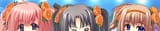 yuzus