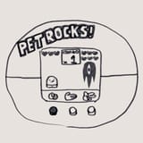 Pet Rocks Glitched Rock @msdnno_kabe