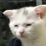 1609038952440