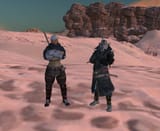 Desert Drip
