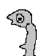 gonerpenis