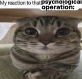 1736660115102832