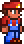 Terrario
