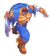 ssf2t-t-hawk-artwork