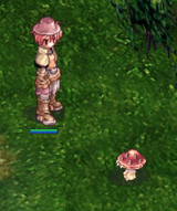 Screenshot_6
