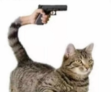 1739307524479680