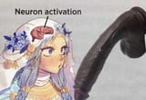 yys
