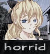 17291508