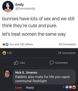 rabbits vs thots