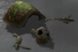 the absolute state of turtlewow