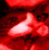 1520099111081
