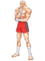 sagat-champ