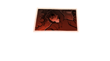 montage_d_shot_once