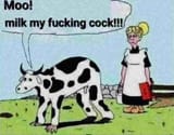 moomoo