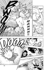 DBS_38_3