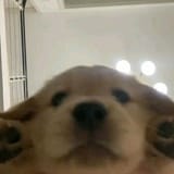 GgzqM5LaMAQZBqR
