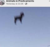 GtooMDpbgAAi8cj