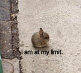 llimit