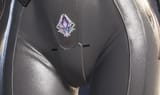 insignia