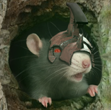 squeek