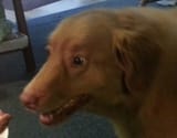 1708276290879756