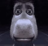 1732496053280610