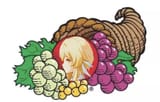 the_fruit_of_the_loom
