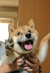 GirVFR7W0AEejXP
