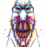 1640264525031