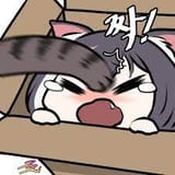 dumbdumb
