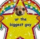 1578011917234