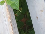 IMG_20250705_175215727