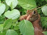 IMG_20250705_175238390